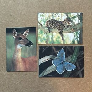 FREE Three vintage greeting cards The Nature Conservancy endangered species